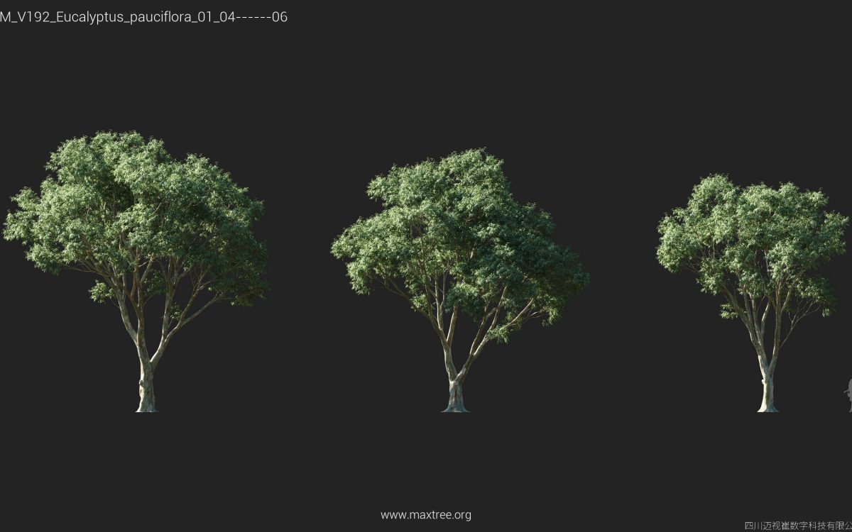 Plant Models Vol 192 - 图片 21
