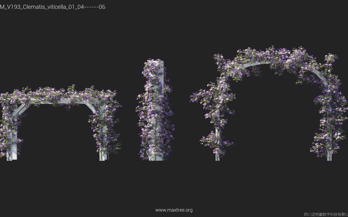 Plant Models Vol 193 - 图片 16