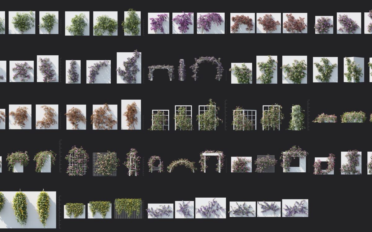Plant Models Vol 193 - 图片 5