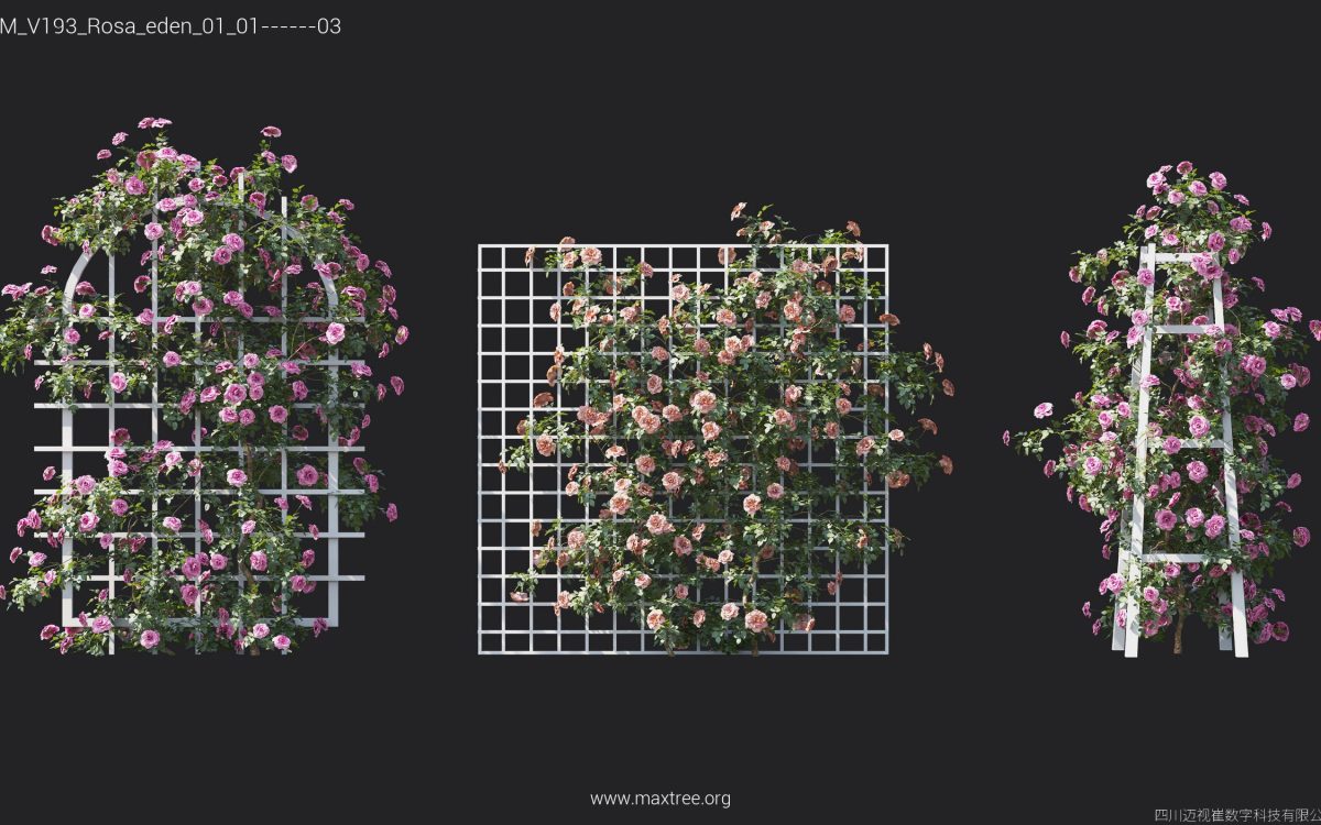 Plant Models Vol 193 - 图片 30