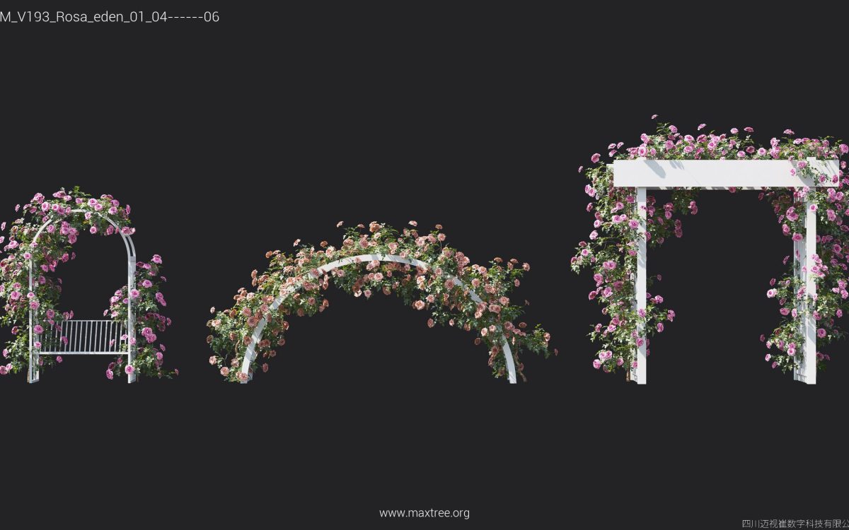 Plant Models Vol 193 - 图片 31